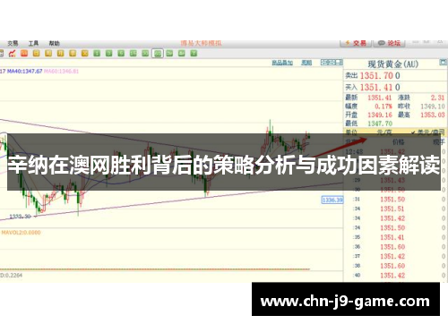 辛纳在澳网胜利背后的策略分析与成功因素解读
