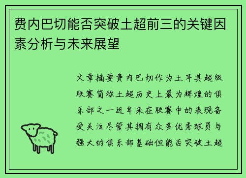 费内巴切能否突破土超前三的关键因素分析与未来展望