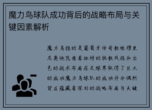 魔力鸟球队成功背后的战略布局与关键因素解析